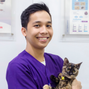 all for pets veterinary clinic