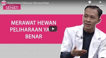 at home emergency vet