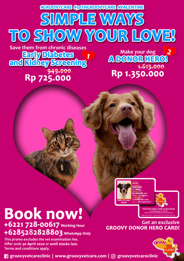 Promo - GROOVY VETCARE CLINIC