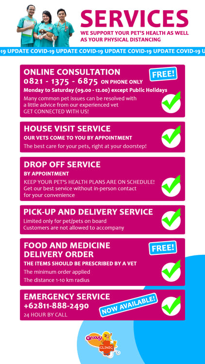 Home Care Vet Clinic